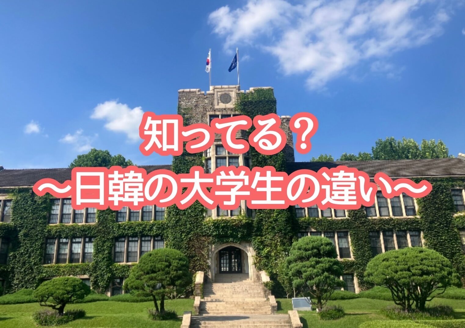 韓国延世大学ジャケット 押し返し スタジャン